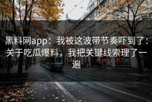 黑料网app：我被这波带节奏吓到了：关于吃瓜爆料，我把关键线索理了一遍
