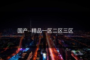 国产--精品一区二区三区