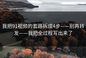 我把91视频的套路拆成4步——别再转发——我把全过程写出来了