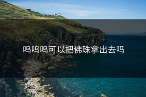 呜呜呜可以把佛珠拿出去吗