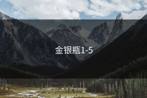 金银瓶1-5