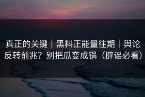 真正的关键｜黑料正能量往期｜舆论反转前兆？别把瓜变成锅（辟谣必看）