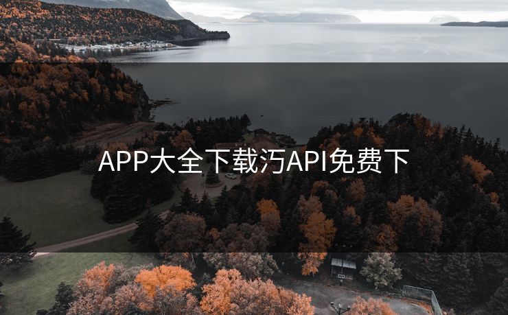 APP大全下载汅API免费下
